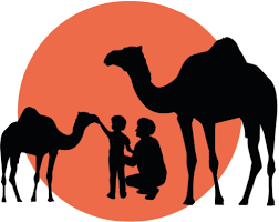 image Kamelenmelkerij